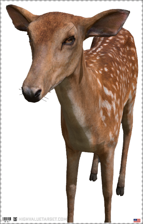 DOE 20º Angle